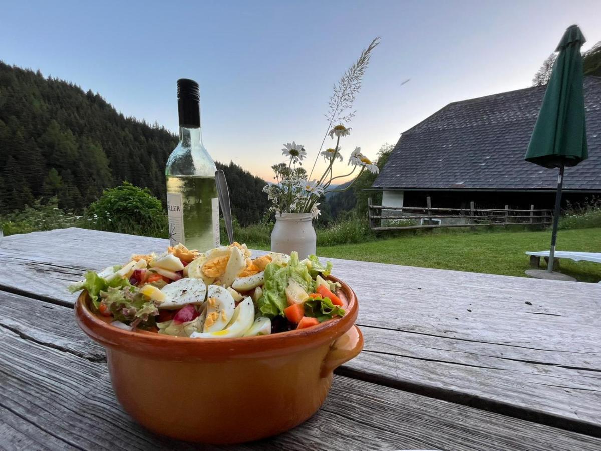 Villa Berghütte Hochhalt Unteralpe Exterior foto
